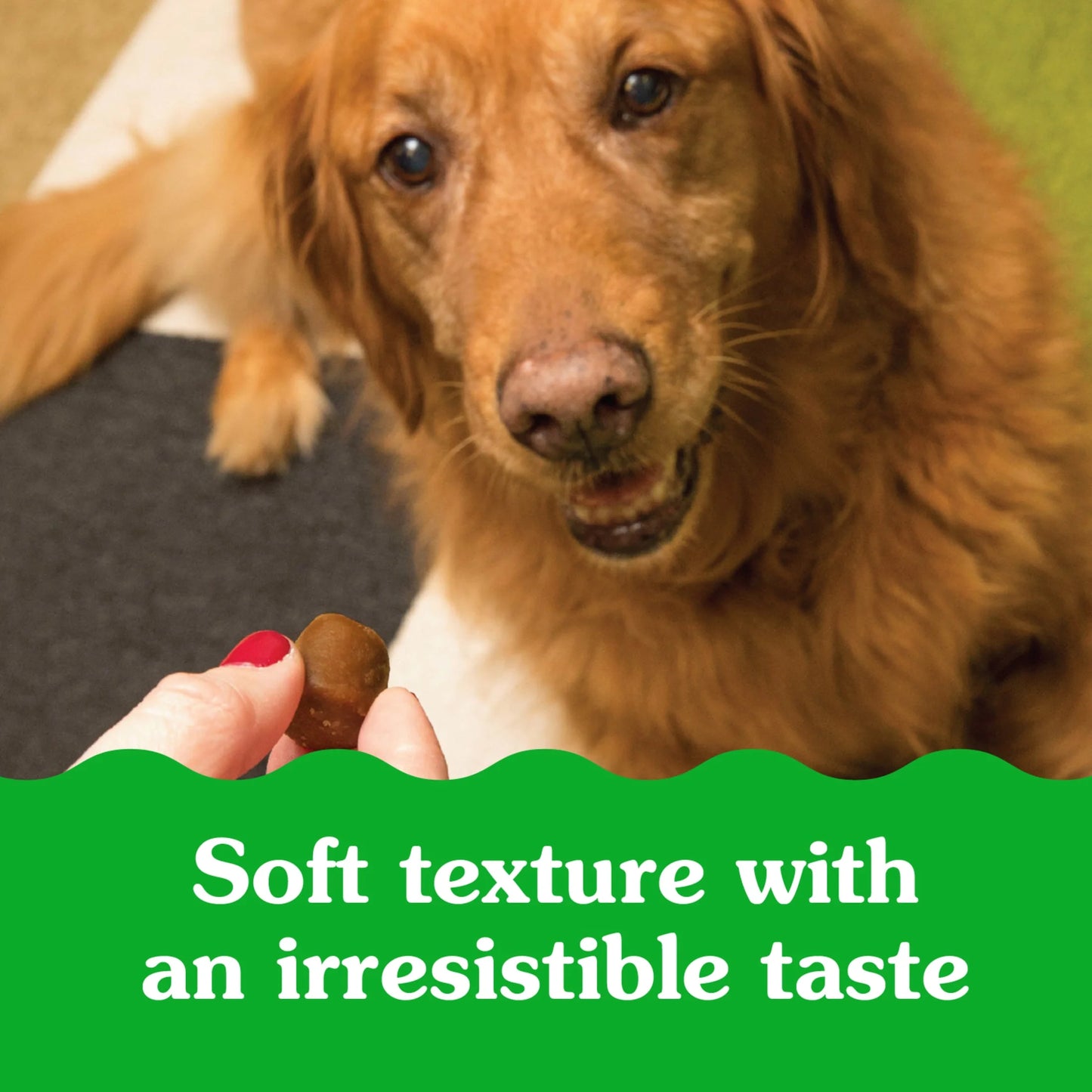 Pill Pockets for Dogs Chicken Flavor Large, Capsule Size Soft Dog Treats, 7.9 Oz, (30 Pk)